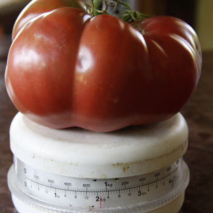 two-pound heirloom tomato