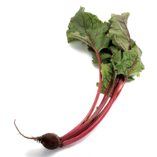 Beets