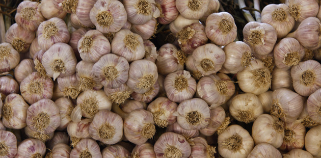 garlic pile