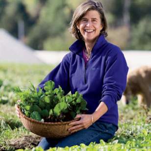 Gardening Gardening