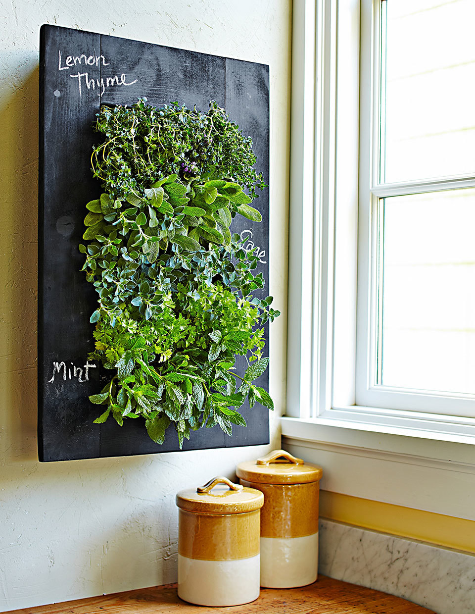 Wall Planter Williams Sonoma Wall Planter (Williams Sonoma)