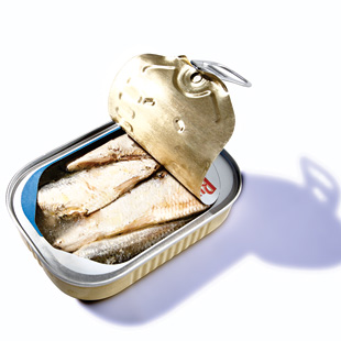 Sardines