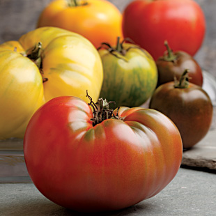 Tomatoes